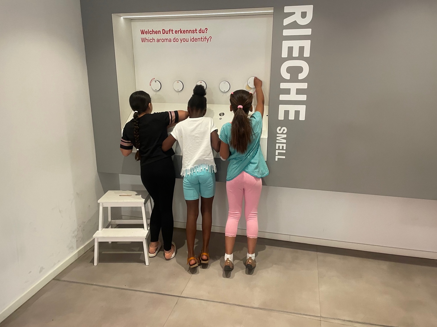 Besuch im Dialogmuseum - Riechtest